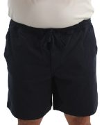 Mens Eagle Volley Shorts - Image 2