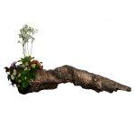 CROCWOOD