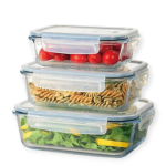 Continental Homeware Glass Lunch Box 3 Piece Set Clear